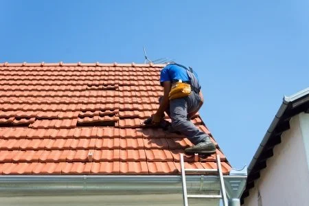 Roof Renovation